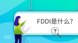 FDDIʲô?