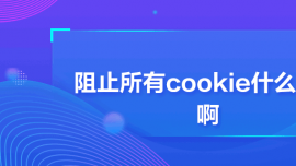 ֹcookieʲô˼