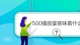 500ζʲô