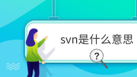 svnʲô˼