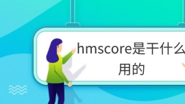 hmscoreǸʲôõ