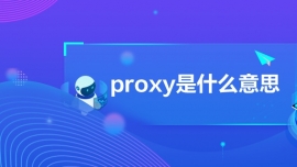 proxyʲô˼